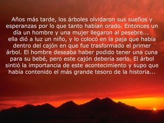Años más tarde, los árboles olvidaron sus sueños y
esperanzas por lo que tanto habían orado. Entonces un
día un hombre y una mujer llegaron al pesebre...
ella dió a luz un niño, y lo colocó en la paja que había
dentro del cajón en que fue trasformado el primer
árbol. El hombre deseaba haber podido tener una cuna
para su bebé, pero este cajón debería serlo. El árbol
sintió la importancia de este acontecimiento y supo que
había contenido el más grande tesoro de la historia...
 