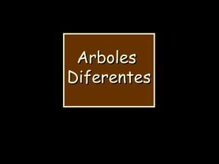 ArbolesArboles
DiferentesDiferentes
 