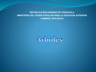 REPUBLICA BOLIVARIANA DE VENEZUELA 
MINISTERIO DEL PODER POPULAR PARA LA EDUACION SUPERIOR 
CABIMAS, EDO-ZULIA 
 