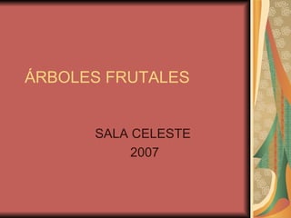 ÁRBOLES FRUTALES SALA CELESTE  2007 