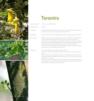 Toromiro
Nombre científico	 :	 Sophora toromiro (Phil.) Skottsb.
Nombre común	 :	 Toromiro.
Descripción	 :	 Arbol pequeño, ramificado desde la base, que llega a crecer hasta 3 metros de altura.
Su tronco es tortuoso y alcanza un diámetro de unos 30 cm.
Distribución	 :	 Endémico de Isla de Pascua. Habitaba naturalmente en colinas y cráteres volcánicos.
Conservación	 :	 El último ejemplar en estado natural se encontró en el fondo del volcán Rano-Kao y
habría desaparecido alrededor de 1960, por lo que se considera como Extinta.
		 Actualmente existen ejemplares que producen semillas sólo en algunos jardines
botánicos, correspondiendo al Jardín Botánico de Goteborg (Suecia), al Jardín Botánico
de Bonn (Alemania) y al Jardín Botánico Nacional de Viña del Mar (Chile).
		 Todos ellos serían descendientes del último ejemplar del Rano-Kao, lo cual implica
que presenta una variabilidad genética muy baja.
Anecdotario	 :	 Era el único árbol nativo y endémico de Isla de Pascua.
		 Su madera es muy dura, de color café rojizo y con estrías de coloraciones oscuras y
claras.
		 Era muy popular entre los habitantes Rapa Nui y se utilizaba para elaborar tallas en
madera, que incluyen las tablillas rongo-rongo, moai kava-kava, moai tangata, moai
paa-paa, mazos y escudos.
		 Lo anterior, en parte, contribuyó a la disminución de sus poblaciones naturales. Al
mismo tiempo, existen referencias de fines del siglo XIX que señalan la presencia en
la isla de miles de ovejas que comían su corteza.
186 Arboles Nativos de Chile
 