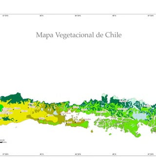 Mapa General
Mapa Vegetacional de Chile
 
