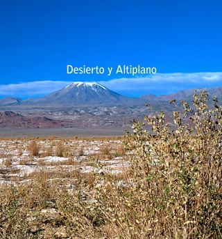 Desierto y Altiplano
23Desierto y Altiplano
 