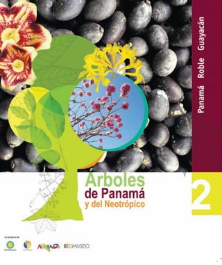 Arboles de Panamá y el Neotrópico 2: Panamá, roble y guayacán