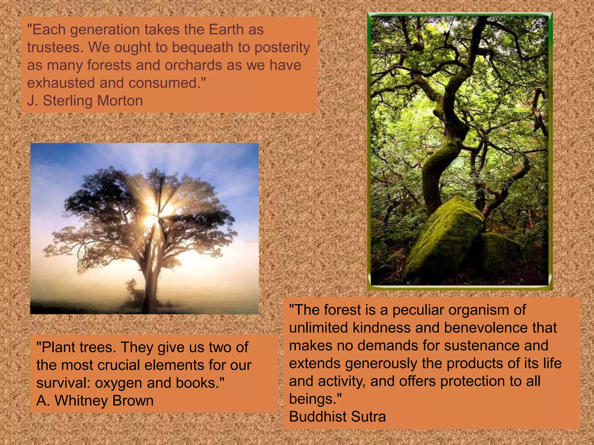 "Each generation takes the Earth as
trustees. We ought to bequeath to posterity
as many forests and orchards as we have
exhausted and consumed."
J. Sterling Morton
"The forest is a peculiar organism of
unlimited kindness and benevolence that
makes no demands for sustenance and
extends generously the products of its life
and activity, and offers protection to all
beings."
Buddhist Sutra
"Plant trees. They give us two of
the most crucial elements for our
survival: oxygen and books."
A. Whitney Brown
 
