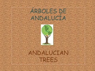 ÁRBOLES DE
ANDALUCÍA
ANDALUCIAN
TREES
 