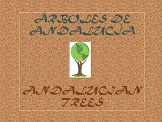 ÁRBOLES DE
ANDALUCÍA




ANDALUCIAN
   TREES
 