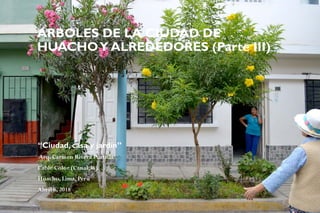 “Ciudad, casa y jardín”
Arq. Carmen Rivera Portilla
Cable Color (Canal 36)
Huacho, Lima, Perú
Abril 6, 2018
ARBOLES DE LA CIUDAD DE
HUACHOY ALREDEDORES (Parte III)
 