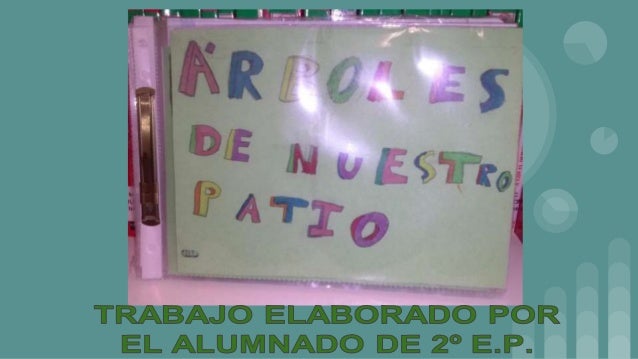 Arboles del patio