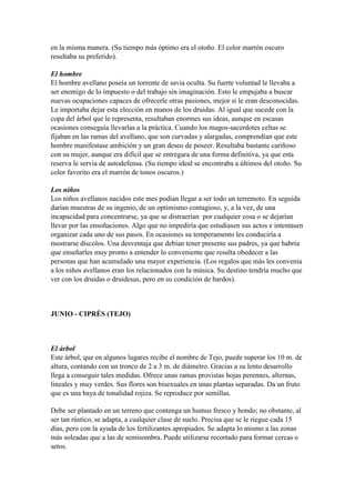 en la misma manera. (Su tiempo más óptimo era el otoño. El color marrón oscuro
resultaba su preferido).

El hombre
El hombre avellano poseía un torrente de savia oculta. Su fuerte voluntad le llevaba a
ser enemigo de lo impuesto o del trabajo sin imaginación. Esto le empujaba a buscar
nuevas ocupaciones capaces de ofrecerle otras pasiones, mejor si le eran desconocidas.
Le importaba dejar esta elección en manos de los druidas. Al igual que sucede con la
copa del árbol que le representa, resultaban enormes sus ideas, aunque en escasas
ocasiones conseguía llevarlas a la práctica. Cuando los magos-sacerdotes celtas se
fijaban en las ramas del avellano, que son curvadas y alargadas, comprendían que este
hombre manifestase ambición y un gran deseo de poseer. Resultaba bastante cariñoso
con su mujer, aunque era difícil que se entregara de una forma definitiva, ya que esta
reserva le servía de autodefensa. (Su tiempo ideal se encontraba a últimos del otoño. Su
color favorito era el marrón de tonos oscuros.)

Los niños
Los niños avellanos nacidos este mes podían llegar a ser todo un terremoto. En seguida
darían muestras de su ingenio, de un optimismo contagioso, y, a la vez, de una
incapacidad para concentrarse, ya que se distraerían por cualquier cosa o se dejarían
llevar por las ensoñaciones. Algo que no impediría que estudiasen sus actos e intentasen
organizar cada uno de sus pasos. En ocasiones su temperamento les conduciría a
mostrarse díscolos. Una desventaja que debían tener presente sus padres, ya que habría
que enseñarles muy pronto a entender lo conveniente que resulta obedecer a las
personas que han acumulado una mayor experiencia. (Los regalos que más les convenía
a los niños avellanos eran los relacionados con la música. Su destino tendría mucho que
ver con los druidas o druidesas, pero en su condición de bardos).



JUNIO - CIPRÉS (TEJO)



El árbol
Este árbol, que en algunos lugares recibe el nombre de Tejo, puede superar los 10 m. de
altura, contando con un tronco de 2 a 3 m. de diámetro. Gracias a su lento desarrollo
llega a conseguir tales medidas. Ofrece unas ramas provistas hojas perennes, alternas,
lineales y muy verdes. Sus flores son bisexuales en unas plantas separadas. Da un fruto
que es una baya de tonalidad rojiza. Se reproduce por semillas.

Debe ser plantado en un terreno que contenga un humus fresco y hondo; no obstante, al
ser tan rústico, se adapta, a cualquier clase de suelo. Precisa que se le riegue cada 15
días, pero con la ayuda de los fertilizantes apropiados. Se adapta lo mismo a las zonas
más soleadas que a las de semisombra. Puede utilizarse recortado para formar cercas o
setos.
 