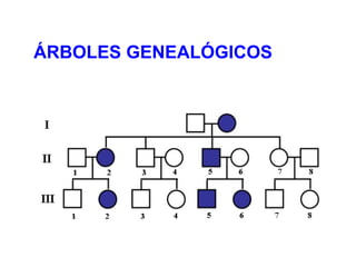 ÁRBOLES GENEALÓGICOS
 