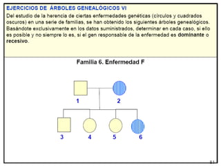 Arboles genealogicos