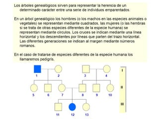 Arboles genealogicos
