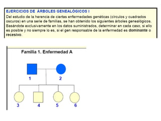 Arboles genealogicos