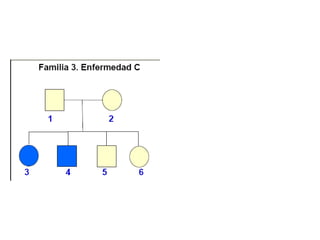 Arboles genealogicos