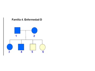 Arboles genealogicos