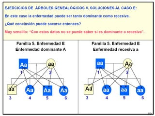 Arboles genealogicos