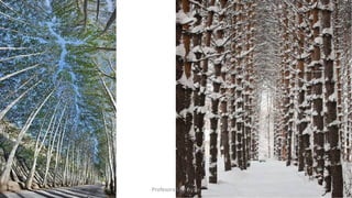 Profesora Lilia Ayala
 