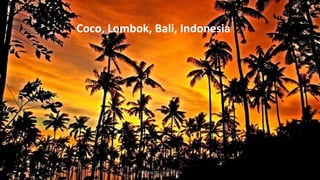 Coco, Lombok, Bali, Indonesia
Profesora Lilia Ayala
 