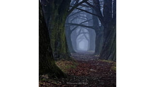 Profesora Lilia Ayala
 