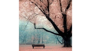 Profesora Lilia Ayala
 