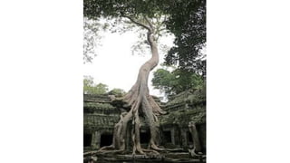 Profesora Lilia Ayala
 