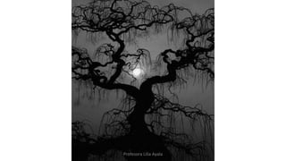 Profesora Lilia Ayala
 