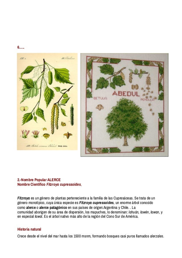 Arboles Medicinales