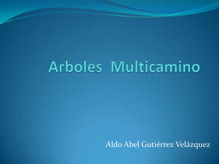 Arboles  Multicamino  Aldo Abel Gutiérrez Velázquez 