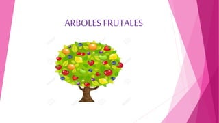 ARBOLES FRUTALES
 