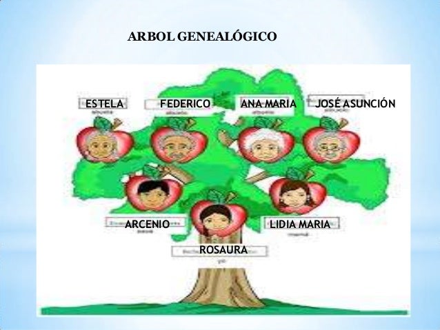 arbol genealógico