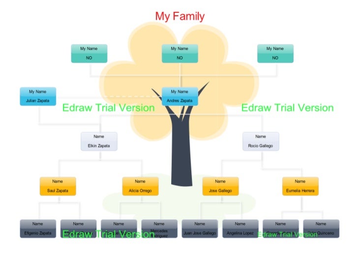 Arbol Genealogico