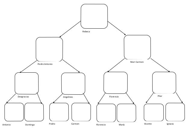 Arbol genealogico