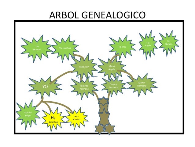 Arbol genealogico Arbol genealogico
