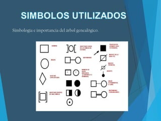 Simbología e importancia del árbol genealógico.
 