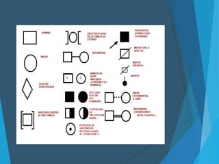 Arbol genealogico genogramas