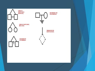Arbol genealogico genogramas
