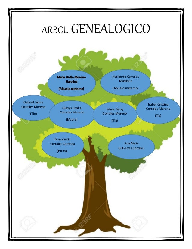 que es un arbol genealogico