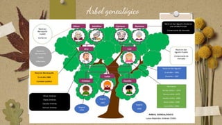 Árbol genealógico
 