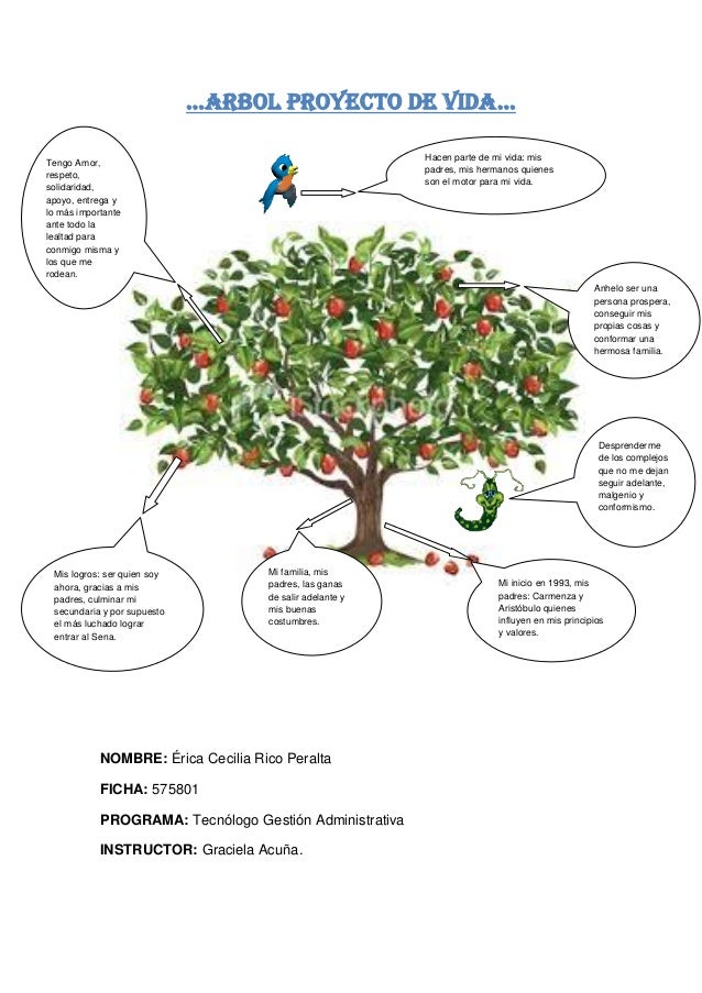 Arbol proyecto de vida.