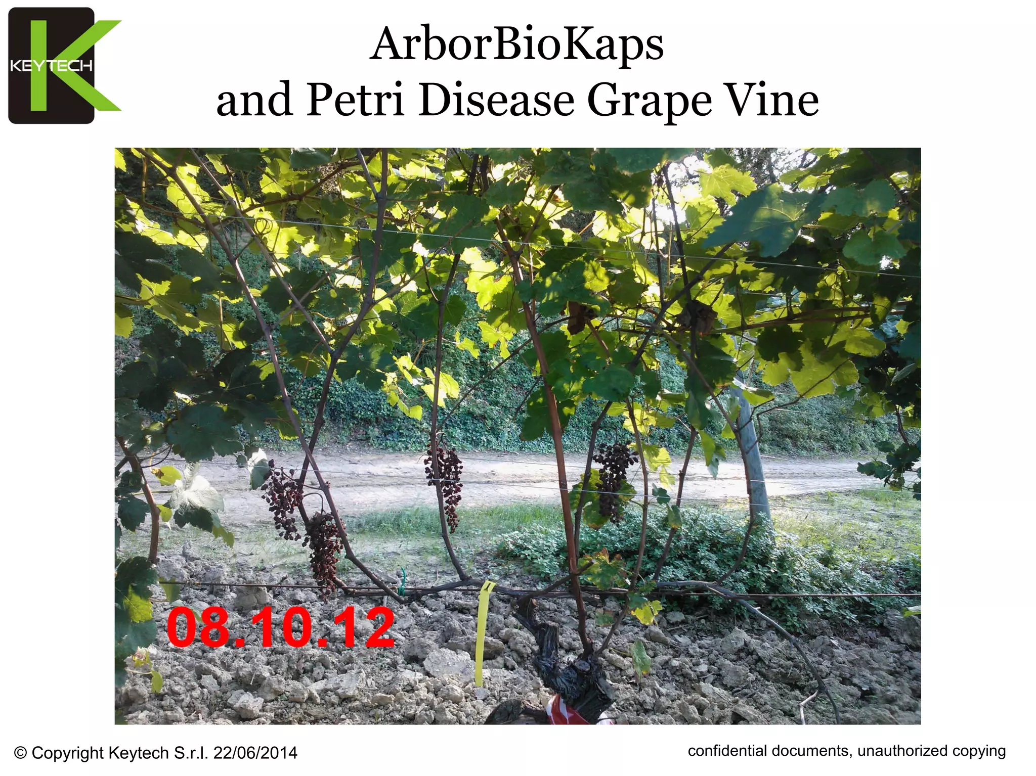 Arbor biokaps petri disease grape vine trunk injection test | PDF