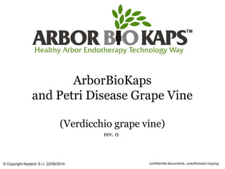 ArborBioKaps
and Petri Disease Grape Vine
(Verdicchio grape vine)
rev. 0
© Copyright Keytech S.r.l. 22/06/2014 confidential documents, unauthorized copying
 