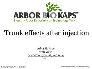 Arbor biokaps with valve (trunk effects after injection) 