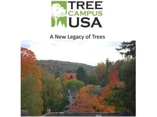 A New Legacy of Trees
 