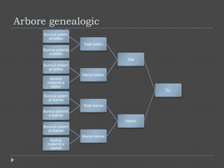 Arbore genealogic 