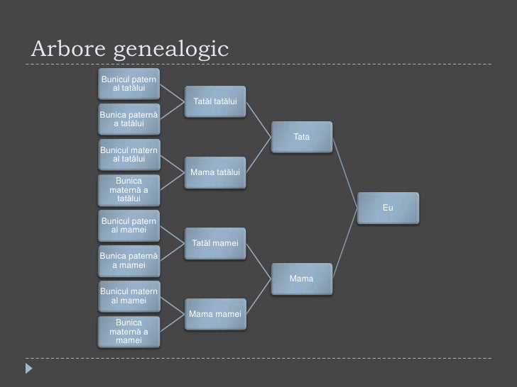arbore genealogic