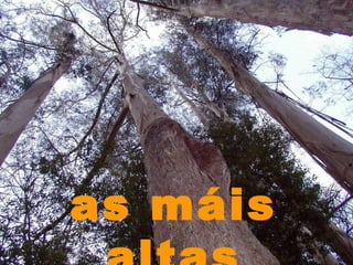 as máis altas 