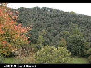 ACIÑEIRAL. Cruzul. Becerreá. 