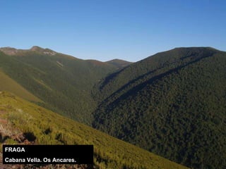 FRAGA Cabana Vella. Os Ancares. 