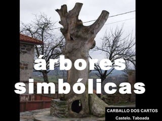 árbores simbólicas CARBALLO DOS CARTOS Castelo. Taboada 